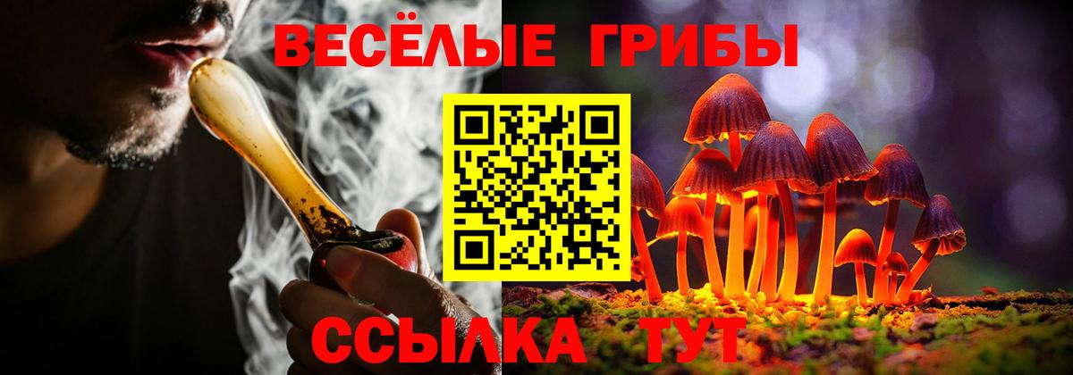 Асбест  Псилоцибиновые грибы MAGIC MUSHROOMS  Вход с VPN 